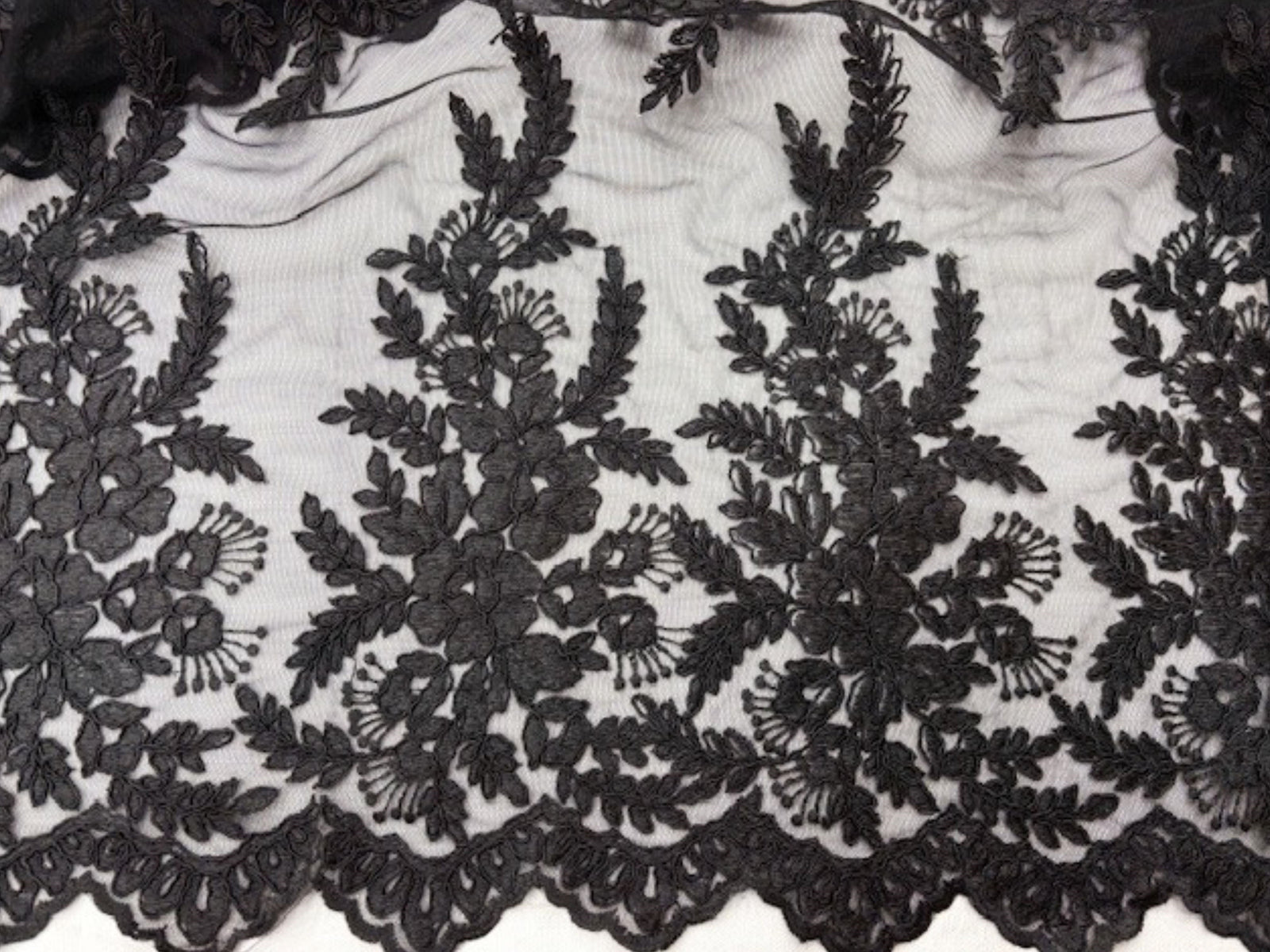 Black - Corded Lace With A Scalloped Edge - Cheap Fabrics