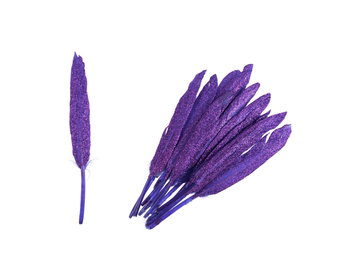 Duck Glitter Feathers Packet (15pcs)
