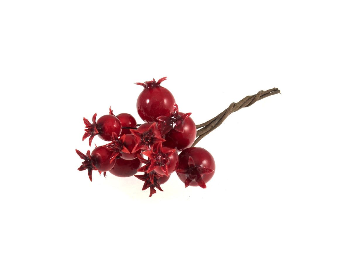 Christmas Pomegranates on Wire