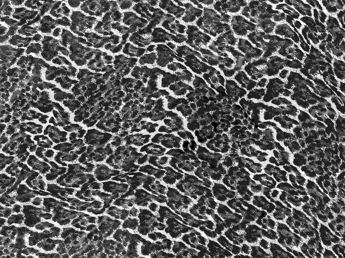 Printed chiffon fabric from Cheap Fabrics Monotone Collection with leopard print design, lightweight and sheer for elegant clothing or crafts.