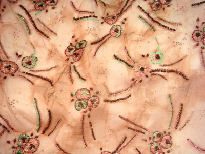Embroidered Organdie