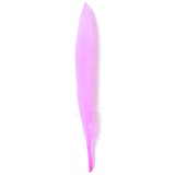 Duck Feathers Pack (approx 24pcs)