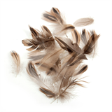 Natural Duck Feathers
