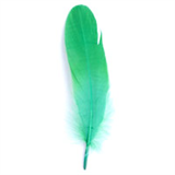 Goose Feathers Pack (12pcs)