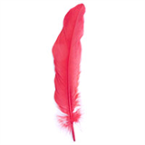 Goose Feathers Pack (12pcs)