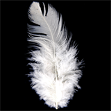 Hen Feathers Pack (5g)