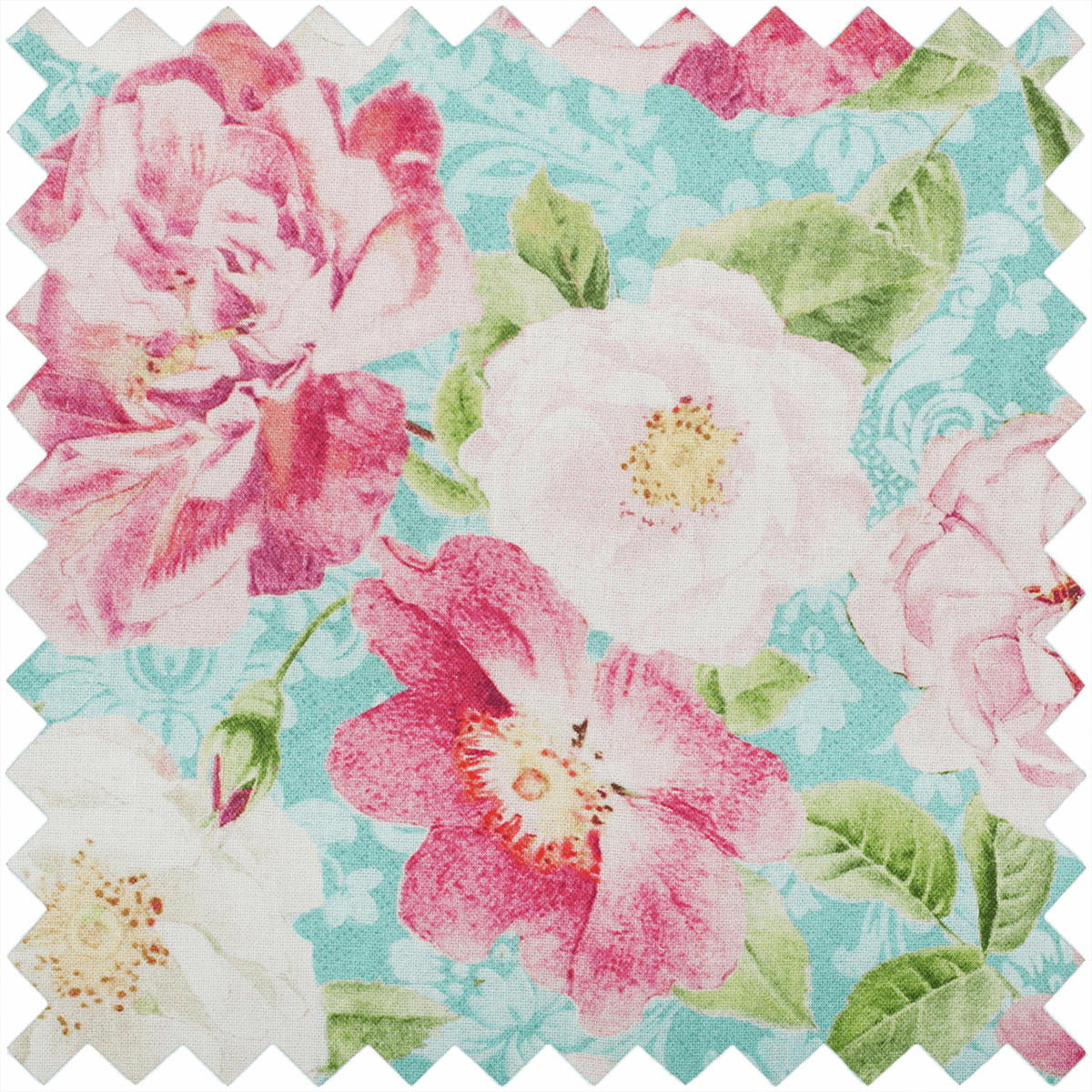 Pin Cushion Flower - Rose Blossom