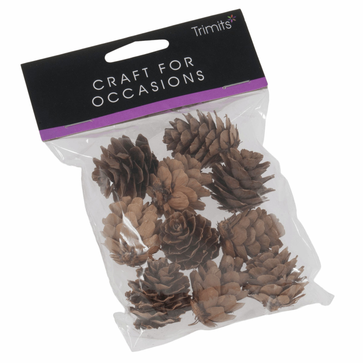 Craft Embellishments - Pine Cones: 25 - 40mm (10 Pieces) - Cheap Fabrics