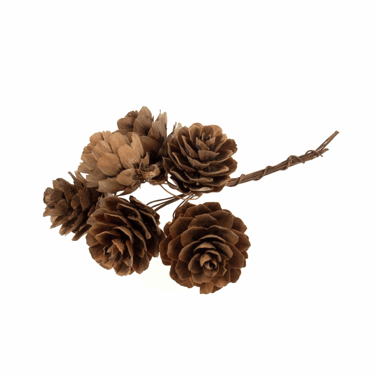 Natural Pinecones on Wire - Bunch of 6 - Cheap Fabrics