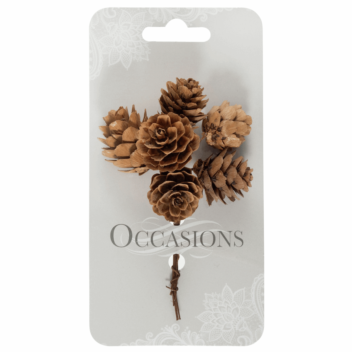 Natural Pinecones on Wire - Bunch of 6