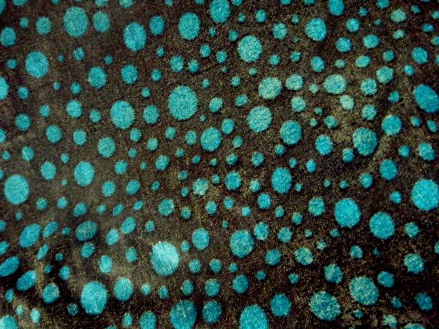 Assorted - Polka Dot Velour