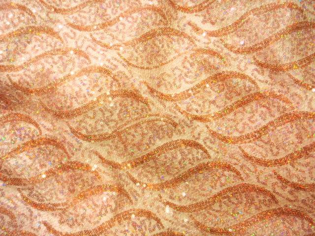 Braid - Sequin Embroidered Tulle