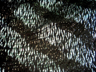 Black/Silver Striped - Glitter Jersey