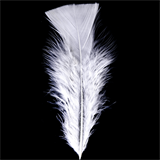 Turkey Feathers Pack (15pcs)